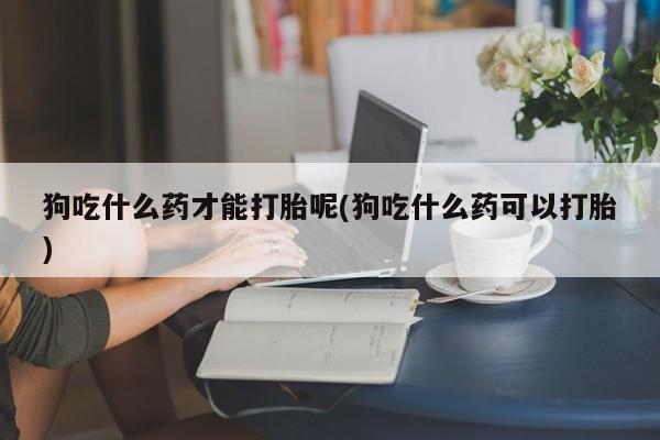 售米非司酮片 包邮狗吃什么药才能打胎呢(狗吃什么药可以打胎)