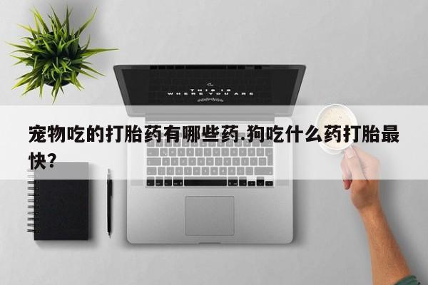 售米非司酮片 包邮宠物吃的打胎药有哪些药.狗吃什么药打胎最快？