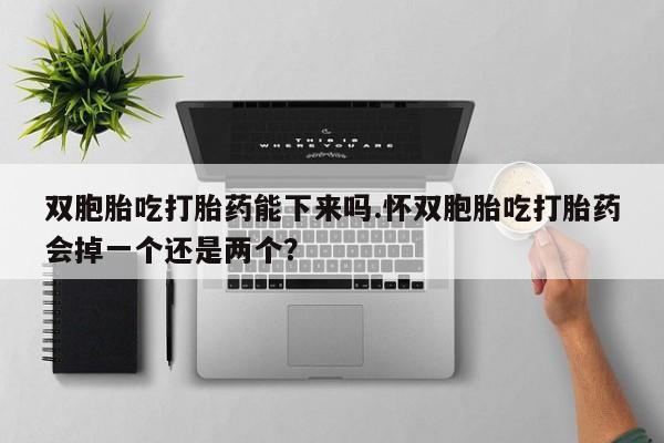售米非司酮片 包邮双胞胎吃打胎药能下来吗.怀双胞胎吃打胎药会掉一个还是两个？