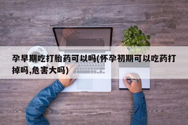 售米非司酮片 包邮孕早期吃打胎药可以吗(怀孕初期可以吃药打掉吗,危害大吗)