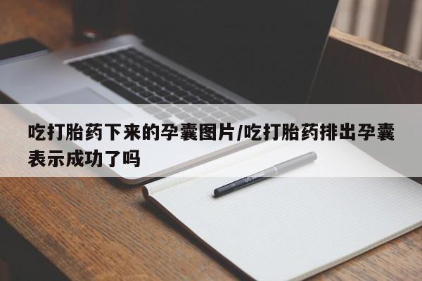 售米非司酮片 包邮吃打胎药下来的孕囊图片/吃打胎药排出孕囊表示成功了吗